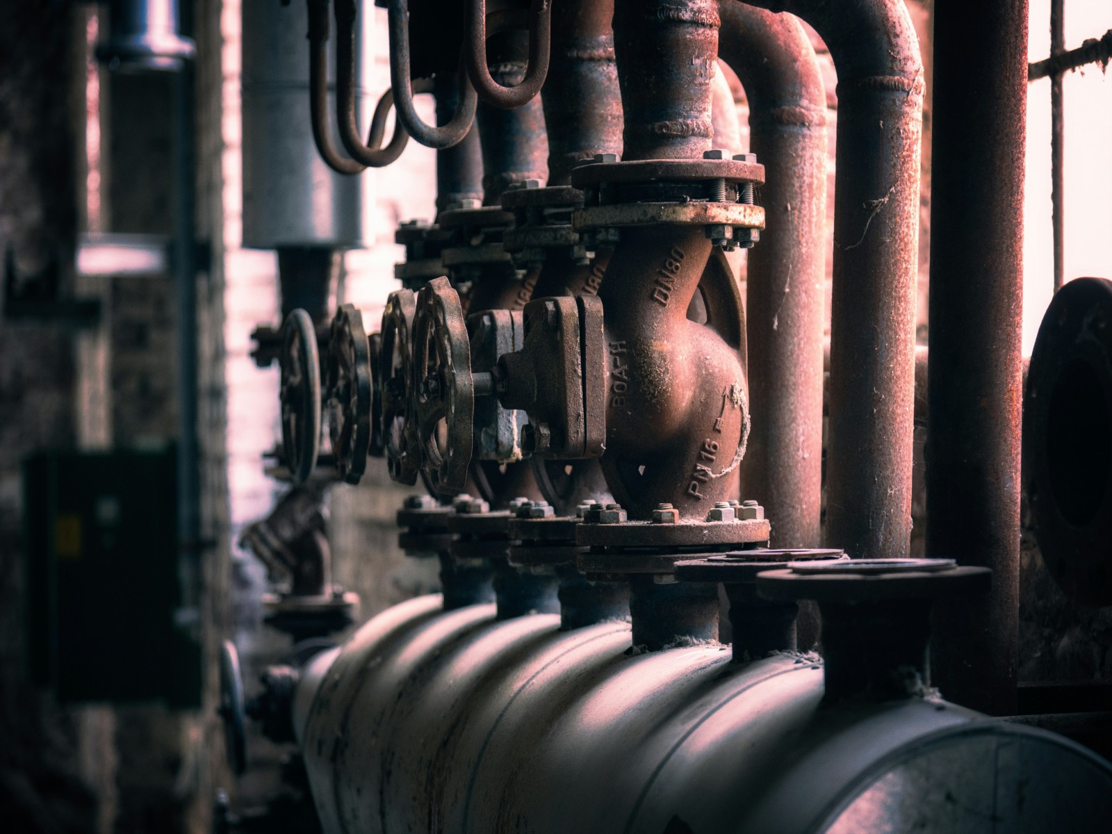 peter-herrmann-IukQrXhSvPY-unsplash1 peter-herrmann-IukQrXhSvPY-unsplash1